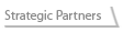 Strategic Partners